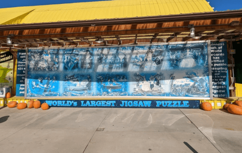 A colorful mural featuring the world's largest jigsaw puzzle, displayed outside a building with pumpkins in front.