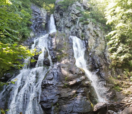 A scenic waterfall cascading down rocky cliffs, surrounded by lush green foliage and sunlight filtering through the trees.