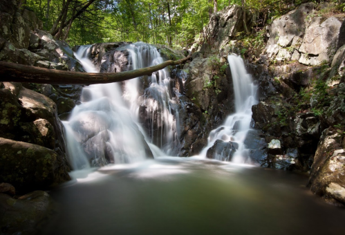 A serene waterfall cascades over rocky terrain, surrounded by lush green trees in a tranquil forest setting.