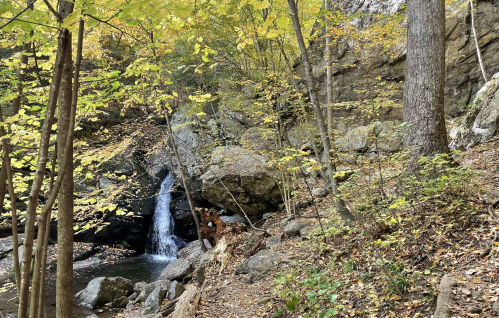 A serene forest scene with a small waterfall, surrounded by autumn foliage and rocky terrain.