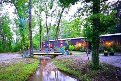 A cozy cabin surrounded by trees, with a small stream and colorful plants in the foreground, creating a serene atmosphere.