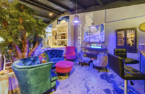 A cozy lounge with colorful chairs, a bar, and decorative plants, illuminated by soft blue lighting.