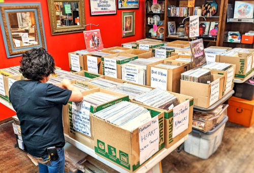 A person organizes vinyl records in labeled boxes at a vibrant record store.