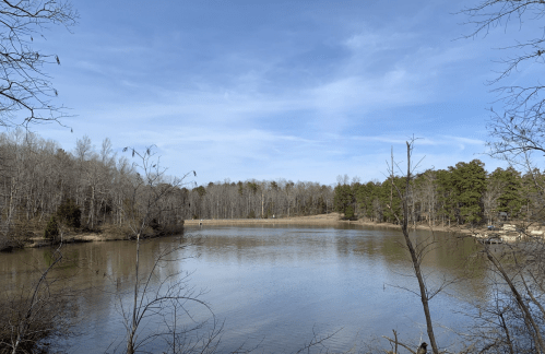 A serene lake surrounded by bare trees and green pines under a clear blue sky.