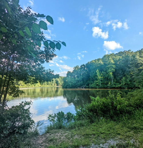 A serene lake surrounded by lush greenery and trees under a clear blue sky with scattered clouds.