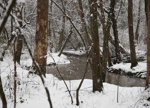 A serene winter scene with a snow-covered creek surrounded by tall trees and falling snowflakes.