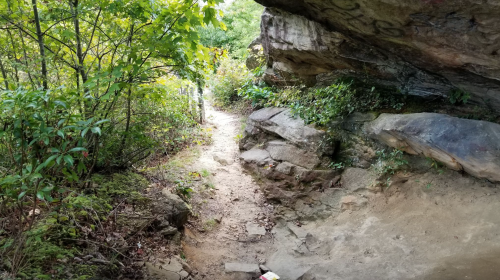 A narrow dirt path winds through lush greenery and rocky terrain under a natural rock overhang.