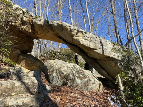 A natural stone arch surrounded by trees and fallen leaves under a clear blue sky.