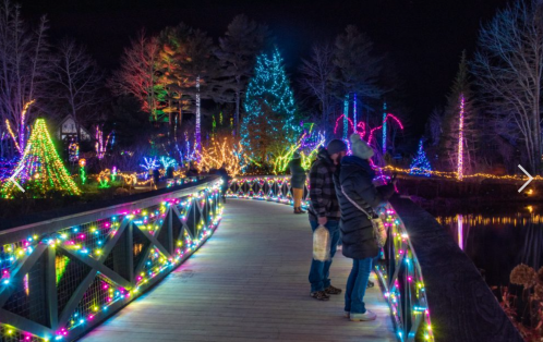 A couple stands on a lit bridge surrounded by colorful holiday lights and trees at night.
