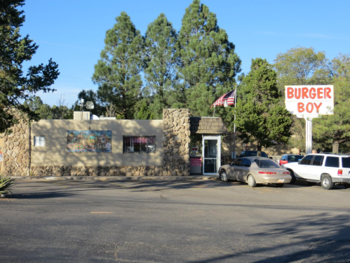 A fast-food restaurant named "Burger Boy" with a stone exterior and an American flag, surrounded by trees and parked cars.