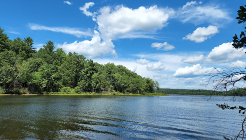 A serene lake surrounded by lush green trees under a bright blue sky with fluffy white clouds.