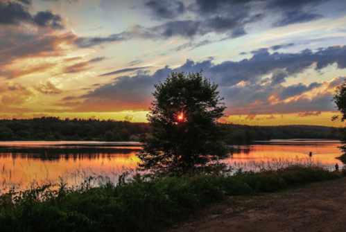 A serene lake at sunset, with vibrant colors reflecting on the water and a tree silhouetted against the sky.