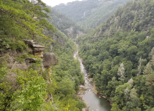 A scenic view of a winding river surrounded by lush green trees and steep rocky cliffs in a mountainous landscape.