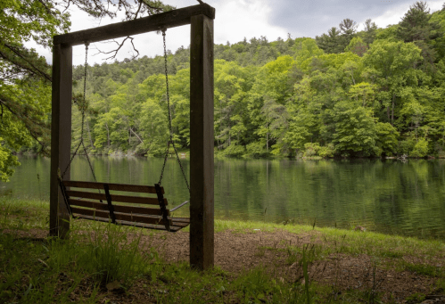 A wooden swing hangs from a frame by a calm lake, surrounded by lush green trees and a cloudy sky.