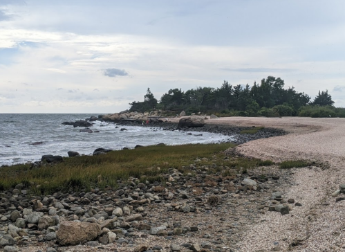 A rocky shoreline with gentle waves, grassy areas, and trees under a cloudy sky.