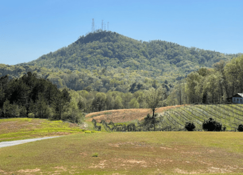 A scenic view of a green mountain with communication towers, surrounded by fields and vineyards under a clear blue sky.