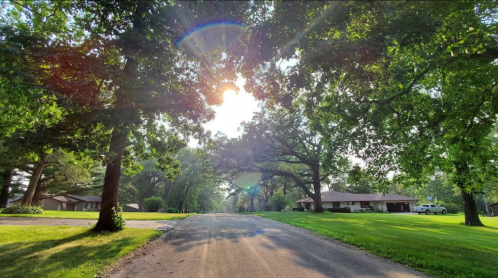 A sunlit road lined with trees, leading to houses in a lush green landscape.