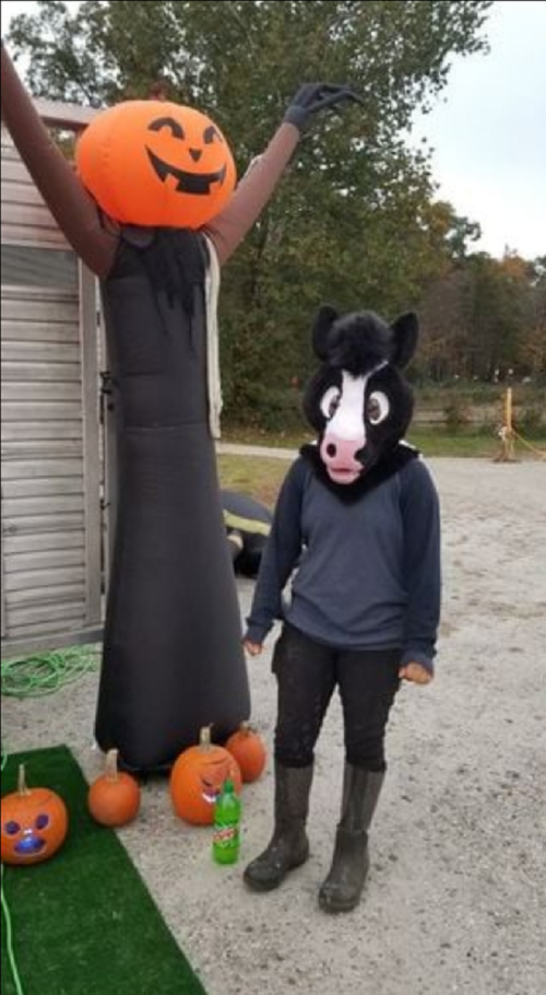 A person in a cow mask stands next to a large inflatable Halloween figure with a pumpkin head and black dress.