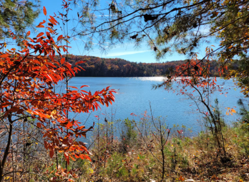 A serene lake surrounded by autumn foliage, featuring vibrant red leaves and clear blue water under a bright sky.