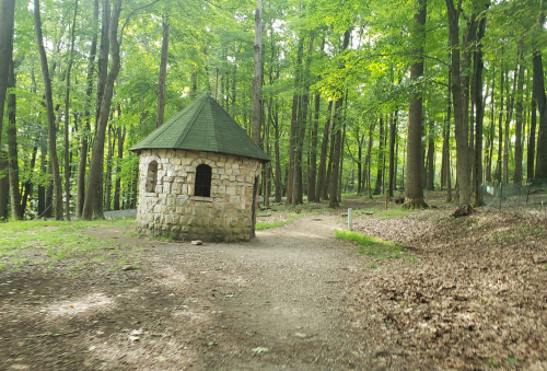 A small stone building with a green roof surrounded by trees in a wooded area. Pathways lead through the forest.
