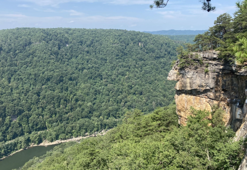 A scenic view of a lush green valley with a rocky cliff overlooking a river below.