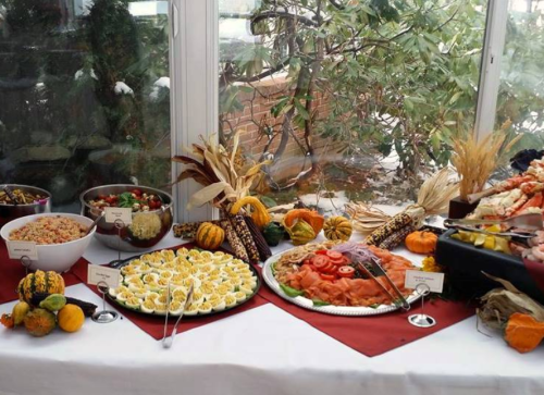 A festive buffet table with various dishes, including salads, meats, and decorative gourds, set in a bright, sunny space.