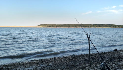 A fishing rod stands on the shore beside a calm lake, with gentle waves and a distant tree-lined horizon.