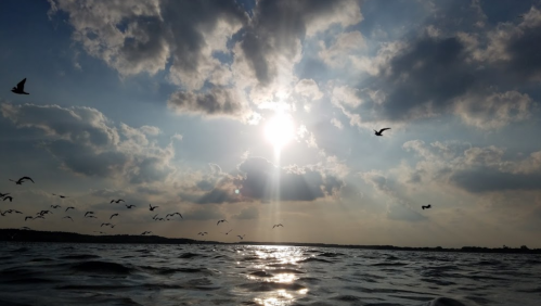 A serene view of the sun shining through clouds over a calm body of water, with birds flying in the sky.