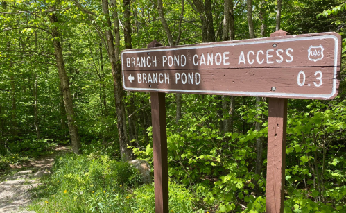 A wooden sign indicating "Branch Pond Canoe Access" with directions and distance to Branch Pond in a lush green forest.