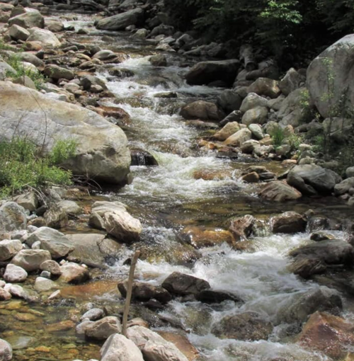 A serene river flows over smooth stones, surrounded by lush greenery and rocky banks.