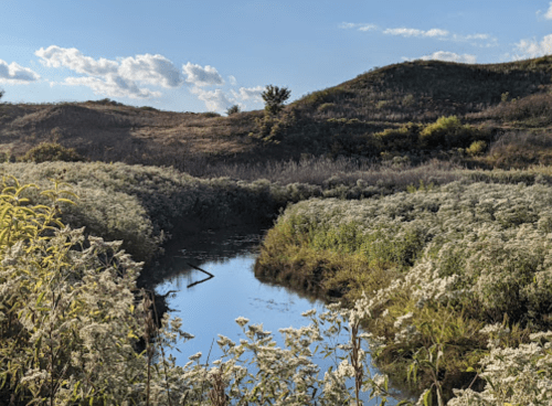 A serene landscape featuring a winding stream surrounded by lush greenery and rolling hills under a blue sky.