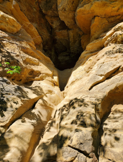 A narrow crevice in a rocky cliff, surrounded by textured sandstone and dappled sunlight.