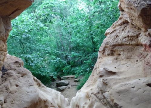 A rocky opening frames a lush green forest with a winding path visible in the distance.