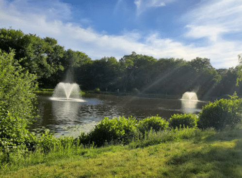 A serene pond surrounded by greenery, featuring two fountains and a clear blue sky.