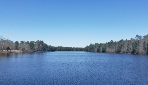 A serene lake surrounded by trees under a clear blue sky, reflecting the calm water.