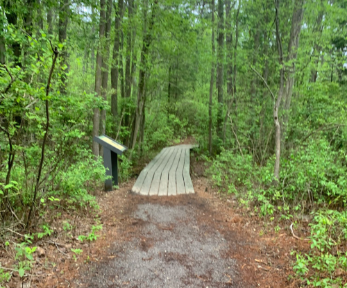 A wooden boardwalk leads through a lush green forest, with a signpost visible on the left.