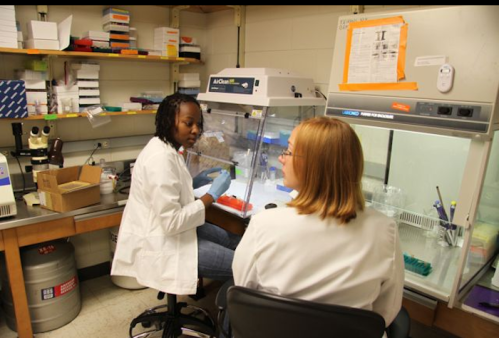 Two scientists in lab coats discuss work at a laboratory bench, surrounded by equipment and supplies.