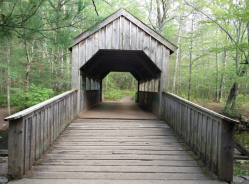 A wooden covered bridge leads into a lush green forest, with trees lining the path on either side.