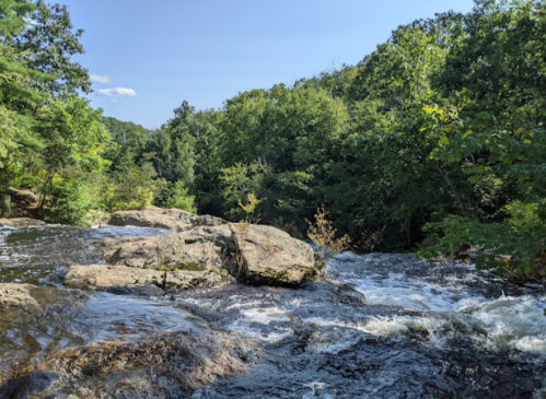 A serene river flows over rocks, surrounded by lush green trees under a clear blue sky.