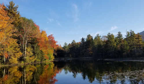 A serene lake surrounded by vibrant autumn foliage and clear blue skies, reflecting the colorful trees.