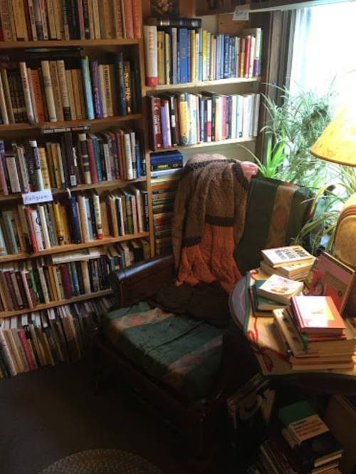Cozy reading nook with a chair, bookshelves filled with books, a lamp, and a plant in a warm, inviting space.