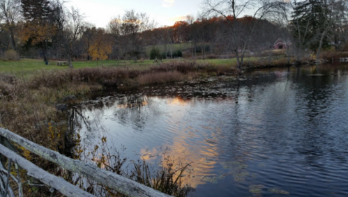 A serene pond reflecting autumn colors, surrounded by trees and grassy areas under a clear sky.