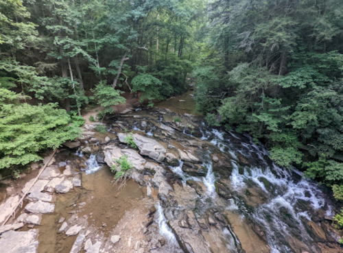 A serene forest scene featuring a flowing stream over rocks, surrounded by lush green trees.
