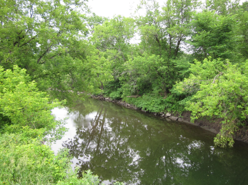 A serene river surrounded by lush green trees and foliage, reflecting the greenery on its calm surface.