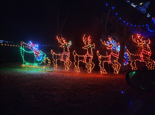 Colorful holiday lights depicting a sleigh and reindeer in a nighttime outdoor setting.