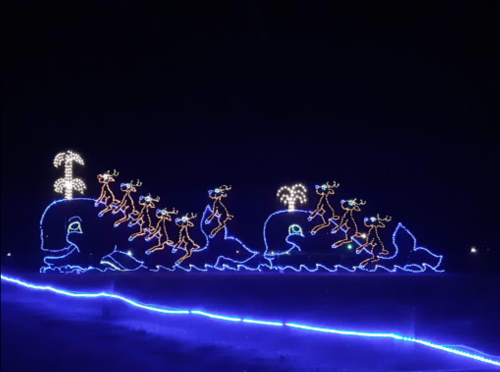 A whimsical display of illuminated reindeer and a whale, set against a dark night sky.