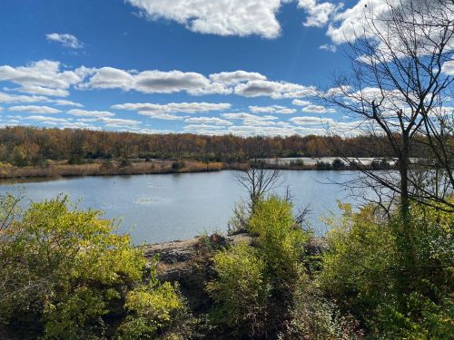 A serene lake surrounded by trees and shrubs, under a bright blue sky with fluffy clouds.