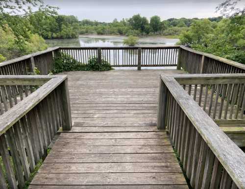 Wooden observation deck overlooking a calm, green landscape with a body of water and trees in the background.