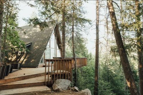 A modern cabin nestled among tall trees, featuring a wooden deck and surrounded by lush greenery.