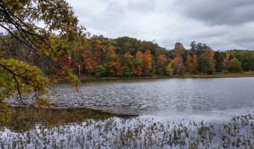 A serene lake surrounded by trees displaying autumn colors under a cloudy sky.